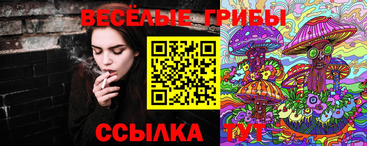Псилоцибиновые грибы Cubensis Черкесск